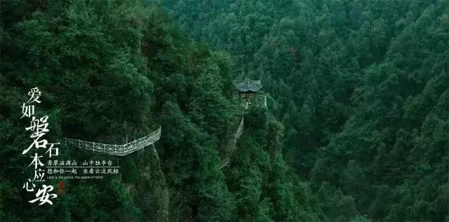 大金狮逃生